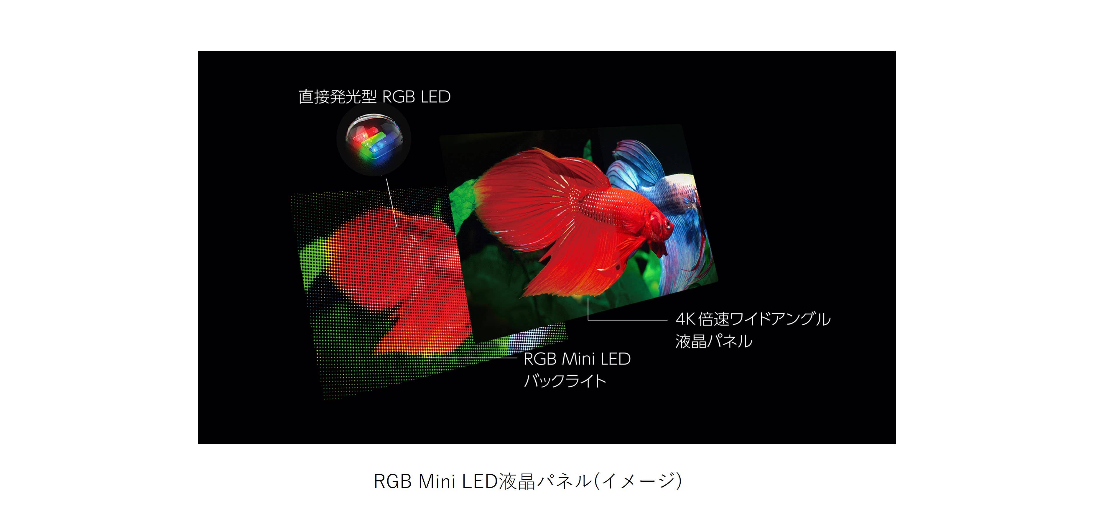 RGB Mini LEDレグザ2026年モデルラインアップが3シリーズ9モデルに拡充